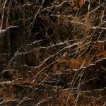 Мрамор Black and Gold